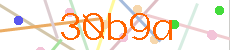 Verificador
