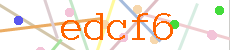 Verificador