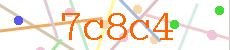 Verificador