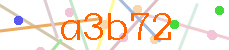 Verificador