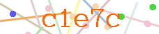Verificador
