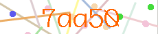 Verificador