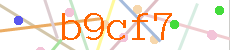 Verificador