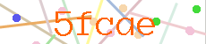 Verificador