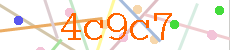 Verificador