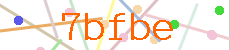 Verificador