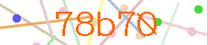 Verificador