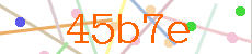 Verificador