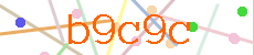 Verificador