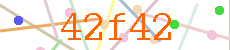 Verificador
