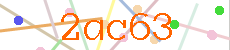 Verificador