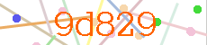 Verificador
