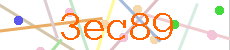 Verificador