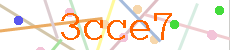 Verificador