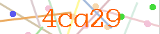 Verificador
