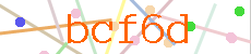 Verificador