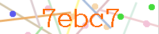 Verificador