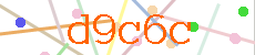 Verificador