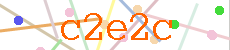 Verificador