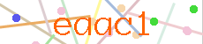 Verificador