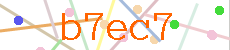 Verificador