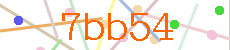 Verificador