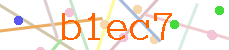 Verificador