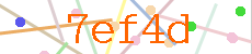 Verificador