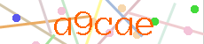 Verificador