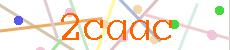 Verificador