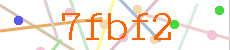 Verificador