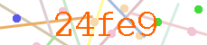 Verificador