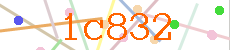 Verificador