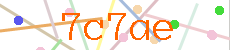 Verificador