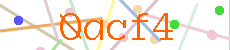 Verificador