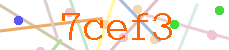 Verificador
