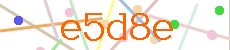 Verificador