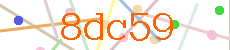 Verificador