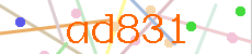 Verificador