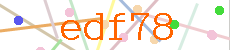 Verificador